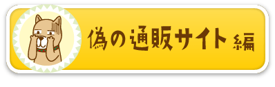 偽の通販サイト編